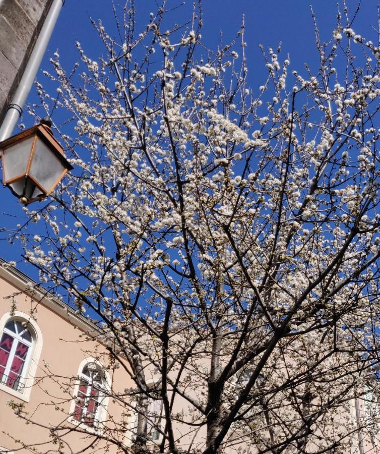 5 Chambres En Ville Clermont-Ferrand Exterior foto